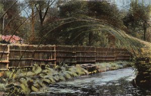 Fritton Decoy von English Photographer