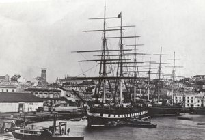 Große Victoria von English Photographer