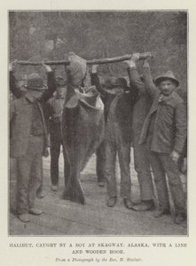 Heilbutt, gefangen von einem Jungen in Skagway, Alaska, mit einer Leine und einem Holzangelhaken von English Photographer