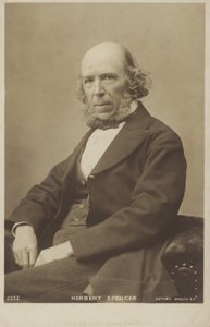 Herbert Spencer (1820-1903), englischer Philosoph, politischer Theoretiker, Biologe und Soziologe von English Photographer