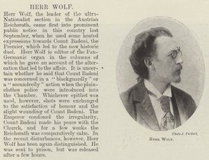 Herr Wolf von English Photographer