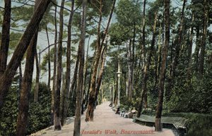 Invalidenweg, Bournemouth von English Photographer