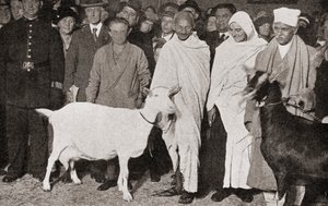 Mahatma Gandhi kommt 1931 mit seiner Schülerin Madeleine Slade und seinen zwei Ziegen in London, England an, aus Die Geschichte von fünfundzwanzig Jahren, veröffentlicht 1935 von English Photographer
