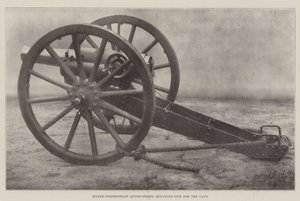 Maxim-Nordenfeldt Schnellfeuer-Bergkanone für das Kap von English Photographer