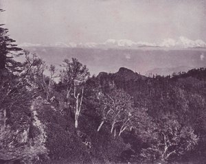 Mount Everest, von Sandakphoo, Darjeeling von English Photographer