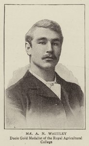 Herr A N Whitley