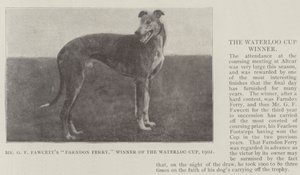 Mr G F Fawcetts Farndon Ferry, Gewinner des Waterloo Cup 1902 von English Photographer