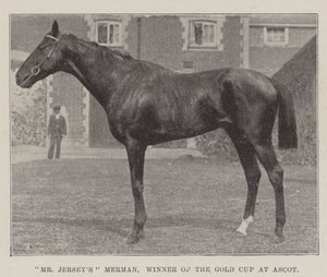 Mr Jerseys Merman, Gewinner des Goldpokals in Ascot von English Photographer