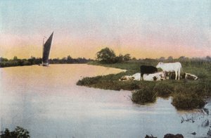Auf der Bure von English Photographer