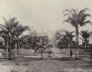 Palmen und Brunnen, Botanische Gärten, Brisbane von English Photographer