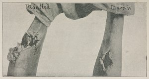 Fotografie aus dem Essay 