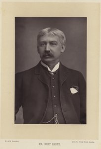 Porträt von Bret Harte von English Photographer