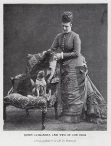 Königin Alexandra und zwei ihrer Hunde von English Photographer