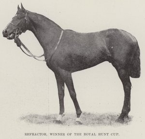 Refractor, Gewinner des Royal Hunt Cups von English Photographer