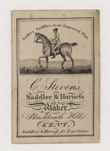 Sattler und Geschirrhersteller, C Stevens, Handelskarte von English Photographer