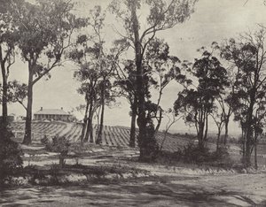 Szene auf der Gembrook Road, Victoria von English Photographer