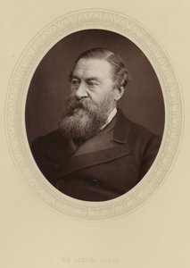 Sir Samuel Baker von English Photographer