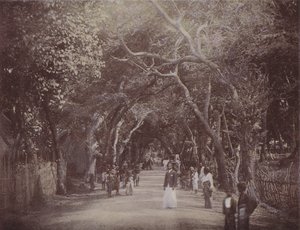 Skinners Road, Colombo von English Photographer