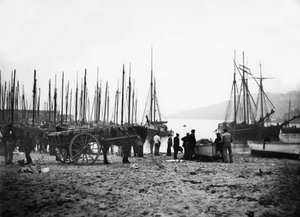Hafen von St Ives in Richtung Carbis Bay, um 1880-99 von English Photographer
