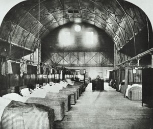 St Thomas Hospital: Temporäre Station in Surrey Gardens Music Hall, 1868