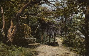 Steinbank, der Erdrutsch von English Photographer