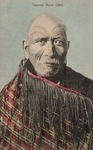Tätowierter Maori Häuptling von English Photographer