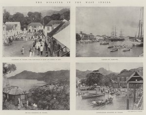 Die Katastrophe in Westindien