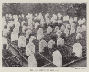Der Hundefriedhof im Hyde Park von English Photographer