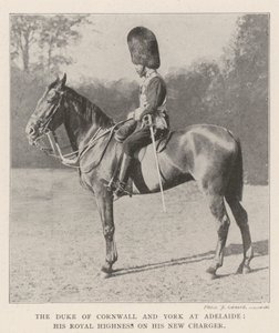 Der Herzog von Cornwall und York in Adelaide, Seine Königliche Hoheit auf seinem neuen Pferd von English Photographer