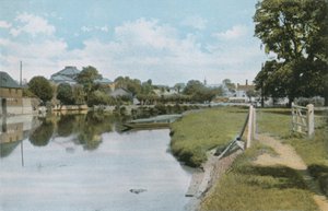 Die Ulmen und der Fluss Themse bei Abingdon