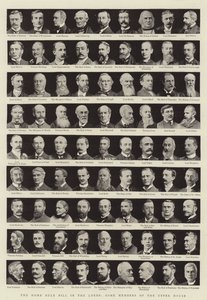 Das Home Rule Bill im Oberhaus, einige Mitglieder des Oberhauses