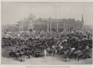 Der Aufbau einer Stadt, der Morgenmarkt, Johannesburg, Südafrika