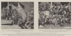 Das Geschenk des Prinzen von Wales an die Maoris, Übergabe einer Flagge an den Arawa-Stamm von English Photographer