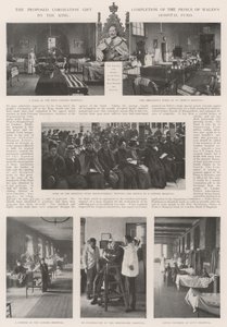 Das vorgeschlagene Krönungsgeschenk an den König, Abschluss des Prince of Wales Hospital Fund von English Photographer