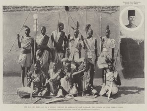 Die jüngste Plünderung eines Kamelkonvois durch Dinkas im Sudan, die Häuptlinge des Dinka-Stammes von English Photographer