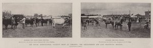 Die Ausstellung der Royal Agricultural Society in Carlisle, das vierundsechzigste und letzte Provinztreffen
