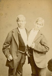 Die siamesischen Jugendlichen; Fotografie; ausgestellt in der Egyptian Hall, Piccadilly, London von English Photographer