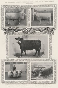 Die Weihnachtsschau der Smithfield Society, einige bemerkenswerte Preisträger von English Photographer