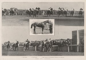 Der St. Leger von English Photographer