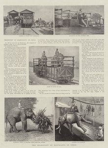 Der Transport von Elefanten in Indien von English Photographer