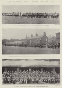 Die Transvaal-Krise, Truppen für das Kap von English Photographer
