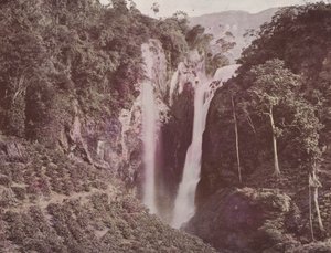Die Zwillingsfälle (Kaffeeanbau im Vordergrund), Ceylon (koloriertes Foto) von English Photographer