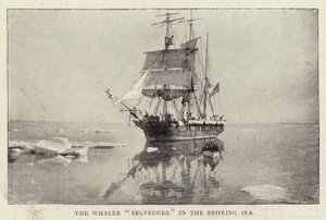 Der Walfänger Belvedere im Beringmeer von English Photographer