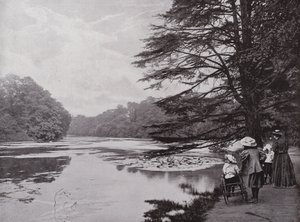 Wanstead Park von English Photographer