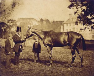 Wild Dayrell, Gewinner des Derbys 1856 von English Photographer