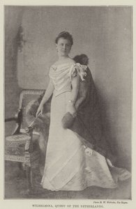 Wilhelmina, Königin der Niederlande von English Photographer
