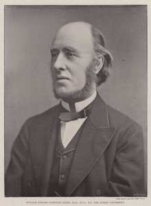 William Edward Hartpole Lecky, LLD, DCL, MP, für die Universität Dublin von English Photographer