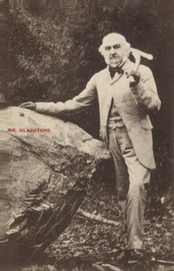 William Ewart Gladstone von English Photographer
