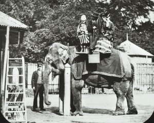 Zoologische Gärten, Regents Park: Elefant mit Erwachsenen und Kindern beim Reiten, London Zoo, 1894