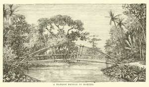 Eine Bambusbrücke in Borneo von English School